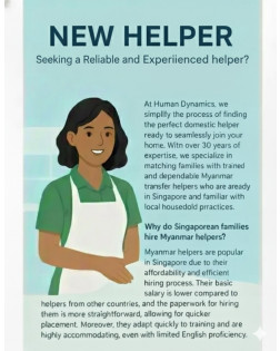 New Helper