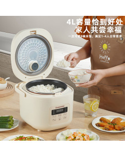 小型智能電飯煲, 4L