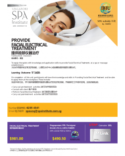  PROVIDE FACIAL ELECTRICAL