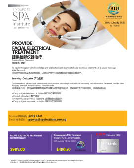 PROVIDE FACIAL ELECTRICAL